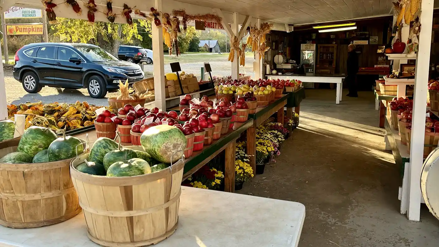 McGlasson Farmers Market scene