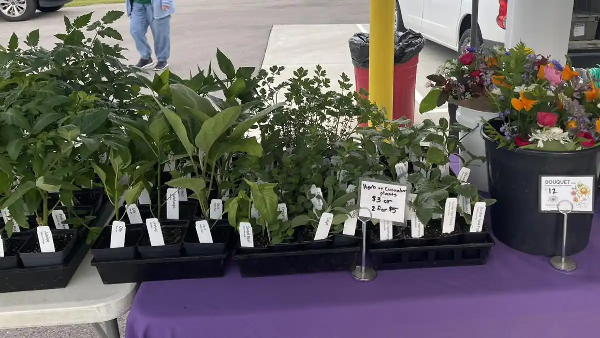 Fresh organic produce at Independence Farmers Market